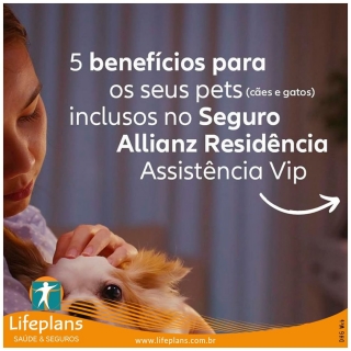 5 beneficios para seus pets inclusos no seguro Allianz Residência Assistência Vip 