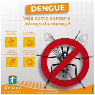 Dengue Veja como conter o avanço da doença! 